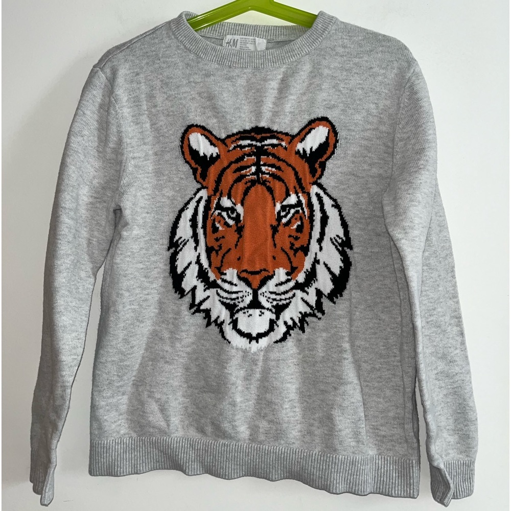 Boys Tiger sweater
